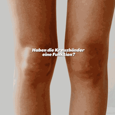 Funktion Kreuzbänder 