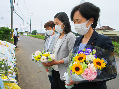 右から畑野君枝衆議院議員、斉藤和子元衆議院議員、丸山