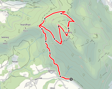 Lidaun, Bärenweg, Faistenau, Salzburg, Wandern, Salzkammergut