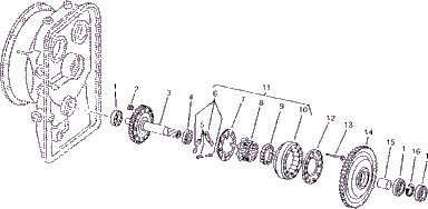 Freewheel section