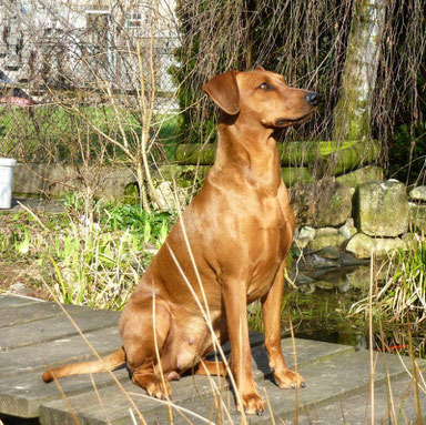 Onnie (Pinch-hit`s Olufemi) geniest das schöne Frühlingswetter ;-))