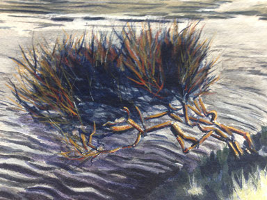 'River Shrub', watercolour on paper, 29 x 21 cm
