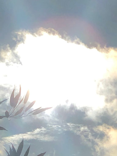 Weg Natur Einzelberatung