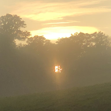 Weg Natur Einzelberatung