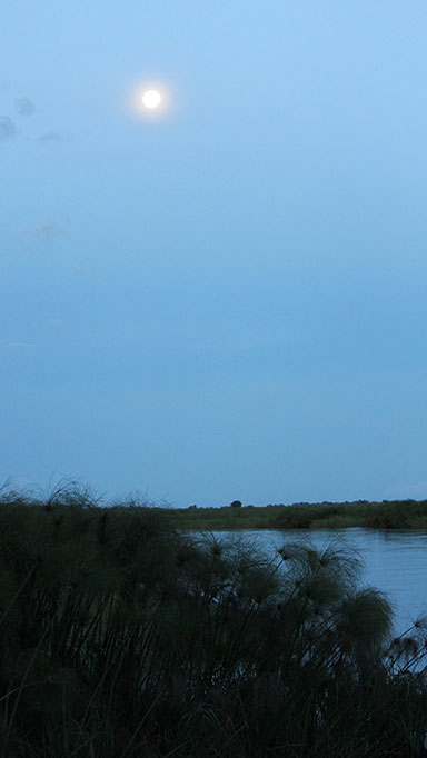 Full moon