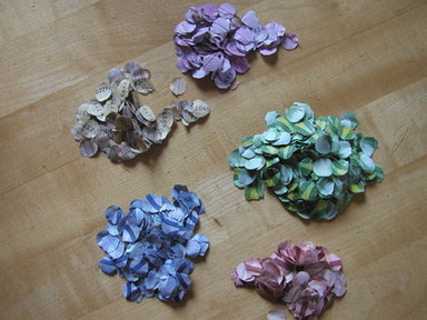 Originale Euro-Banknoten