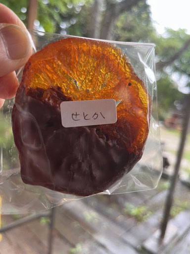 陶芸家 ブログ 陶芸作品 笠間焼き 陶芸 粉引作品 火まつり 陶炎祭 差し入れ おやつ オレンジチョコ せとか