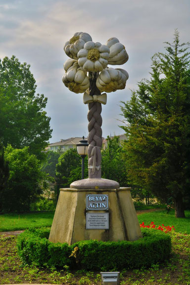 Knoblauch-Stadt Taşköprü