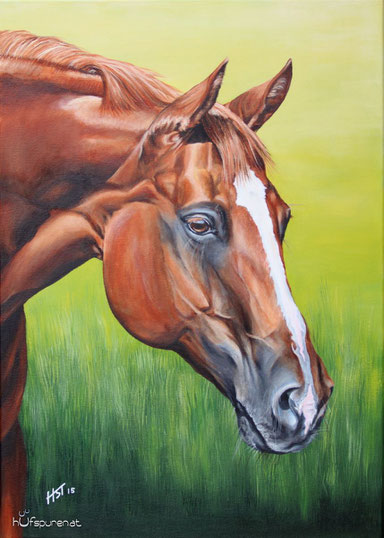 90x70cm Ein Pferdekopf groß