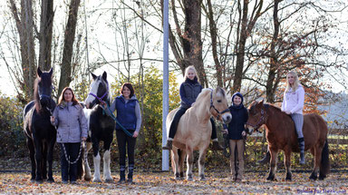 Ein Gastschüler-Aufenthalt mit Freunden macht gleich doppelt so viel Spaß! Wir können bis zu 6 Pferde unterbringen.