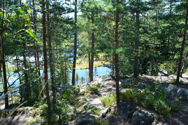 One of Our Short Breaks in Finland - Nuuksio National Park