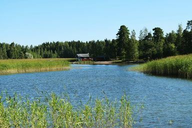 One of Our Short Breaks in Finland - Biking