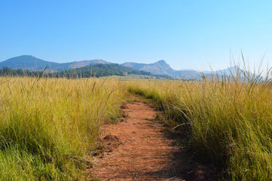 A Scenic Drive Through Swaziland - Mlilwane Wildlife Sanctuary