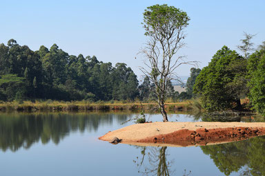 A Scenic Drive Through Swaziland - Mlilwane Wildlife Sanctuary