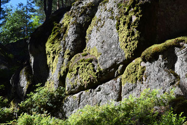 One of Our Short Breaks in Finland - Nuuksio National Park