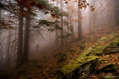 Canelle GAMARD - Errance Cévenole -  Festival photo de Moncoutant sur Sèvre
