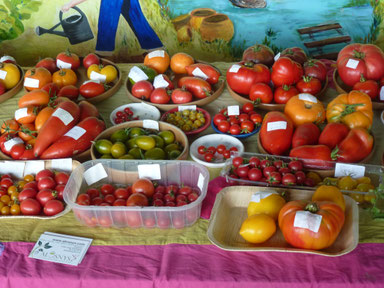 Tomates du jardin d'Alôsnys en août 2016