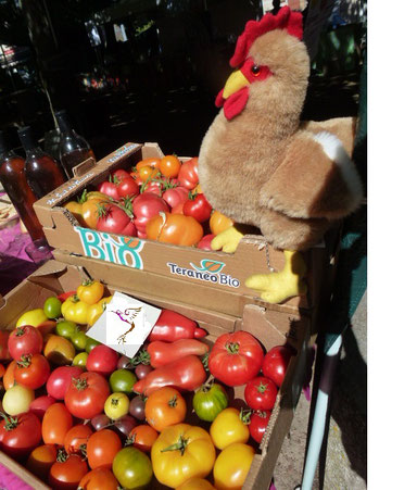 Vente de tomates aux journées romaines le 7 août 2016