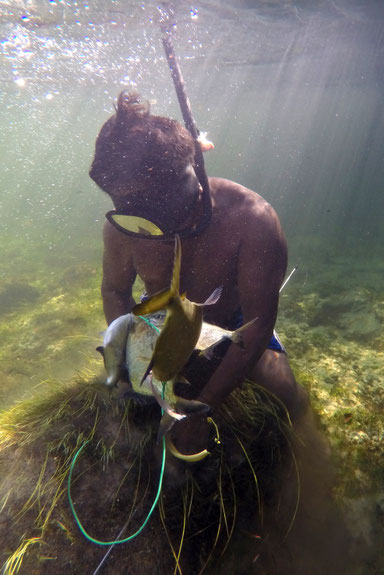 Foto subaquática. Indígena da TI Tirecatinga, em Mato Grosso, com equipamento de pesca subaquática e uma linha com quatro peixes capturados durante o evento de mascreação. Ao fundo do rio há pedras, cobertas com vegetação aquática. Adriano Gambarini/OPAN.