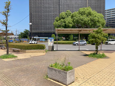 駅入り口側から見た雑草の目立つロータリー_20250619