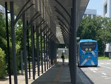 市役所のバス停で待機するナッシー号
