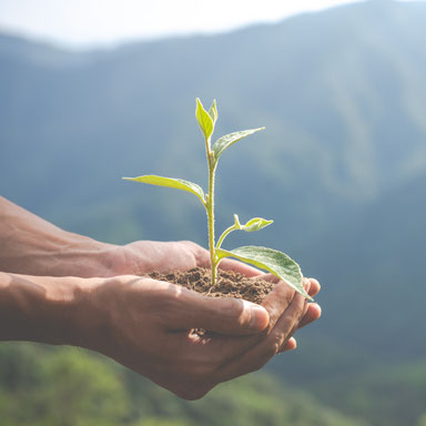 Lutte écologique