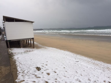 2018.2.4　雪積もってました！