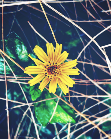 mkphotogallery