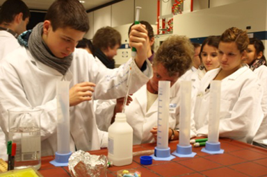 Die PCR Gendiagnostik im Labor