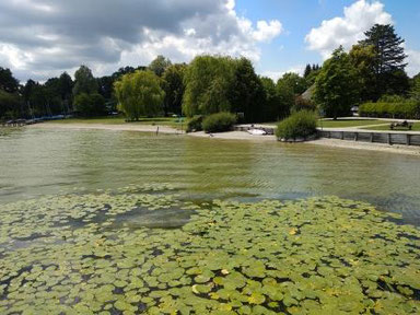 SUP-Tour mit Kindern: Seebad Riederau