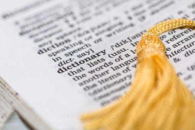 polished grammar ryan delaney professional english another word for polished