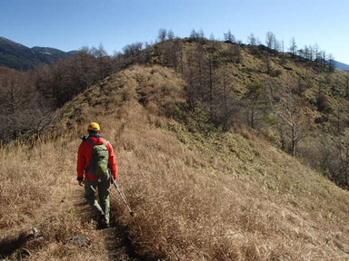 蓼科山　登山　ガイド