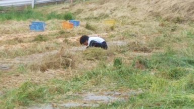 楽しくなりすぎて「帰るよ!」と言っても作業を続ける少年A