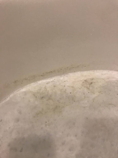 風呂釜洗浄マイスター