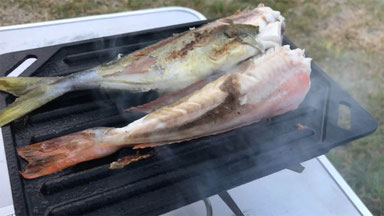 アウトドア 釣り松TVブログについて