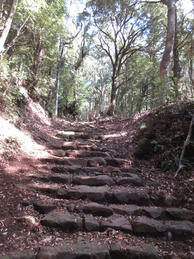 阿弥陀寺に続く参道の石段　歴史を感じさせる