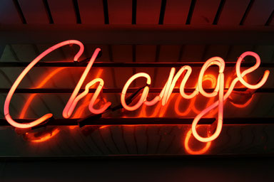 ©Unsplash/Ross Findon