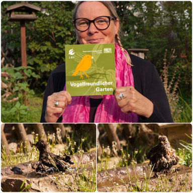 Ein ausgezeichneter vogelfreundlicher Garten (Edina Stojan)