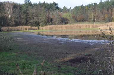 Bild: Oberer Haussee; Martin Wölker