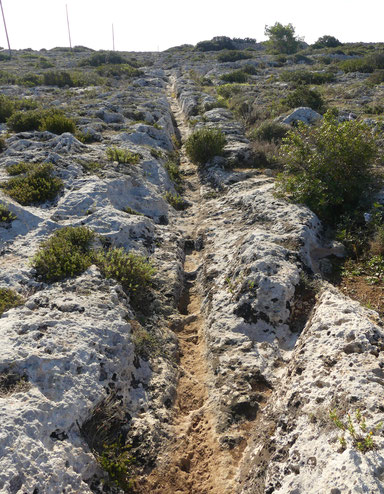 Cart ruts in Misraħ Għar il-Kbir 