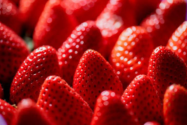 dictee-theme-printemps-fraises