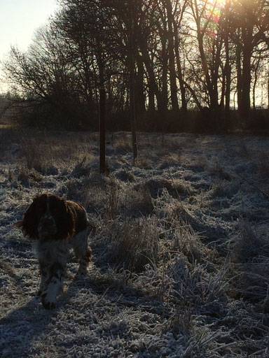 Charly enjoys winter time, Photo: Werner