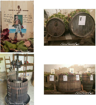 La cantina di orgosolo del vino