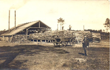 Une scierie au milieu de la forêt