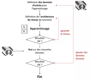 La phase d'apprentissage