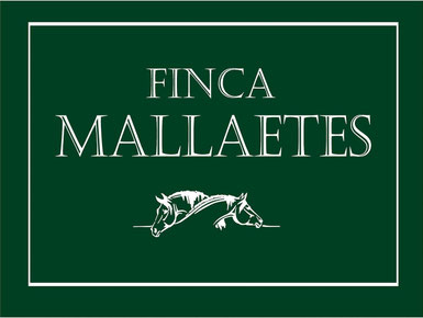 Página web de clubhipicalesmallaetes