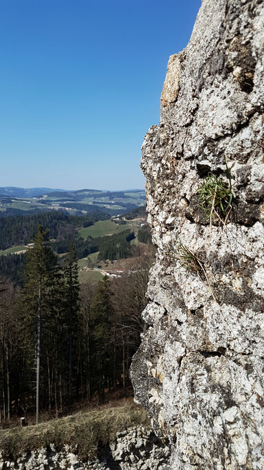 Aussicht von der Burg Ruttenstein