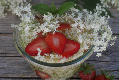 Holunderblütenessig mit Erdbeeren