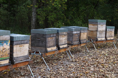 Bienenstöcke vom Stieglgut Wildshut