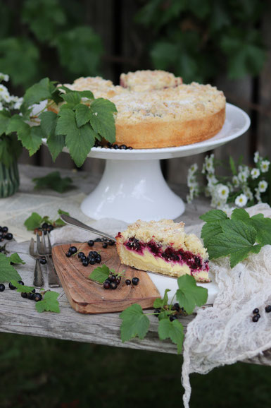 Johannisbeerkuchen mit Topfen und Streusel